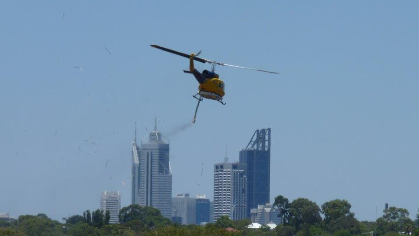 A firefighting helicopter departs Herdsman Lake after filling up as a scrub fire burns in Perth's western suburbs.