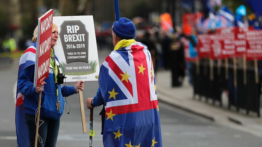 Two Brexit protesters dressed in flags and holding signs step away from larger protest group