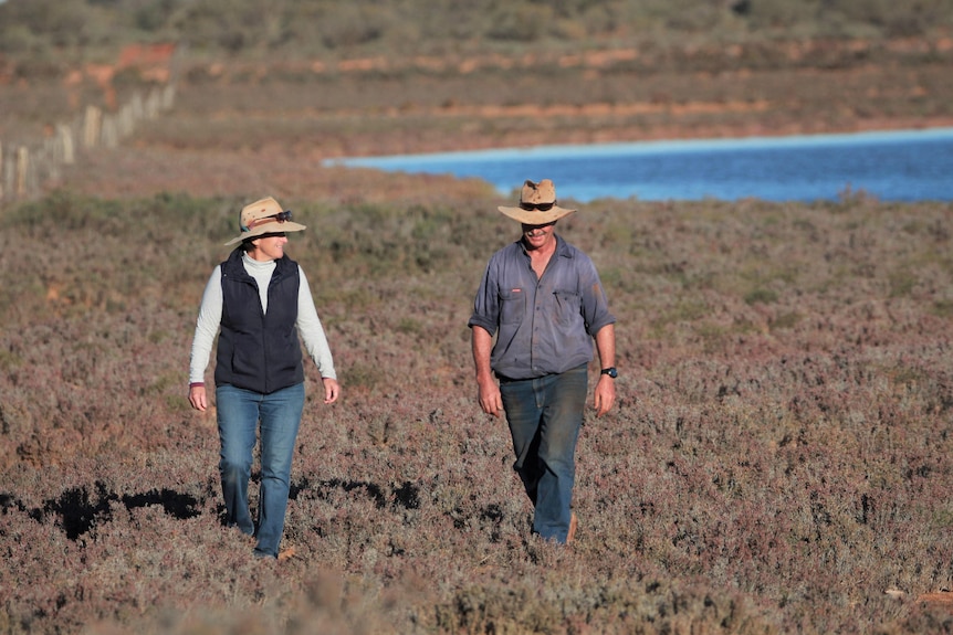 Two people walk in a paddock near a lake.