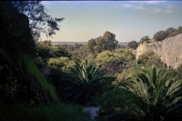 Site proposed for building the Quarry Amphitheatre on Raebold Hill, City Beach, September 1984.