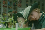 student wearing large green hat inspects plant in bright green pot
