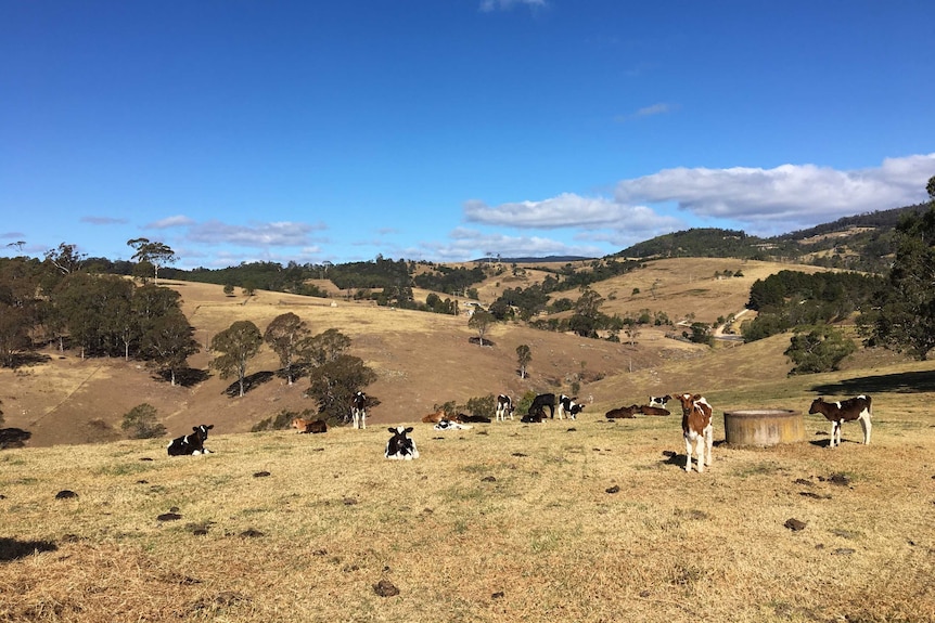 The dry conditions persist across the Bega Valley
