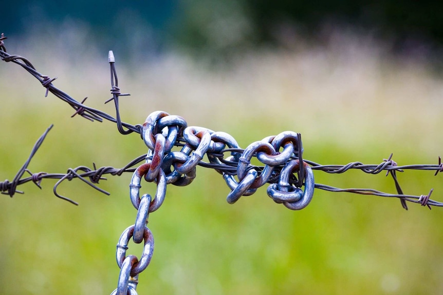 Chain and Barbed Wire Thomas Hawk.jpg