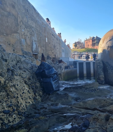 A bulky black bag appearing to contain items inside a drained rock pool. 