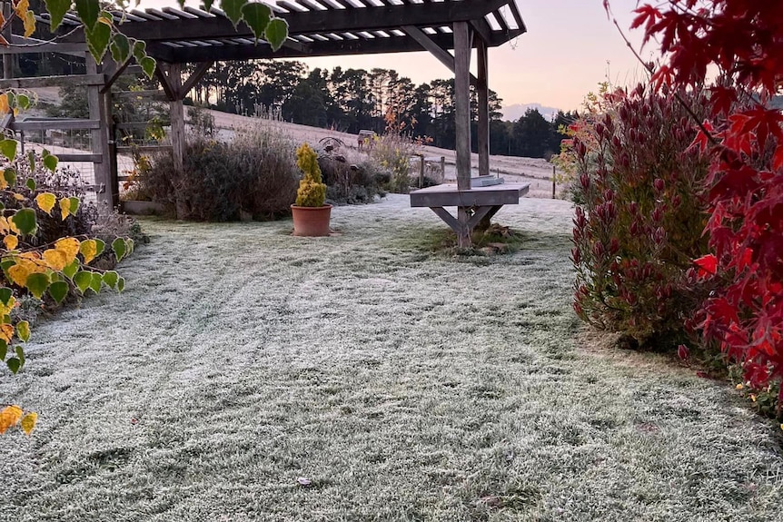 Hail on a garden in Tasmania