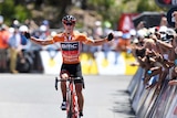 Richie Porte celebrates on Willunga Hill as he crosses the line to win stage five of the Tour Down Under