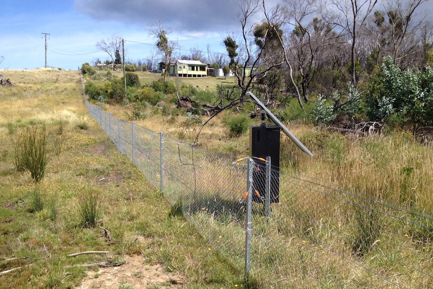 The devil proof fence on Forestier Peninsula