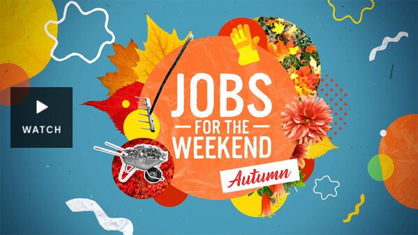Graphic with text 'Jobs for the Weekend - Autumn'. Has Video.