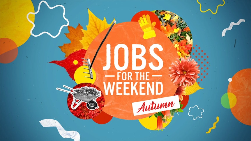 Graphic with text 'Jobs for the Weekend - Autumn'