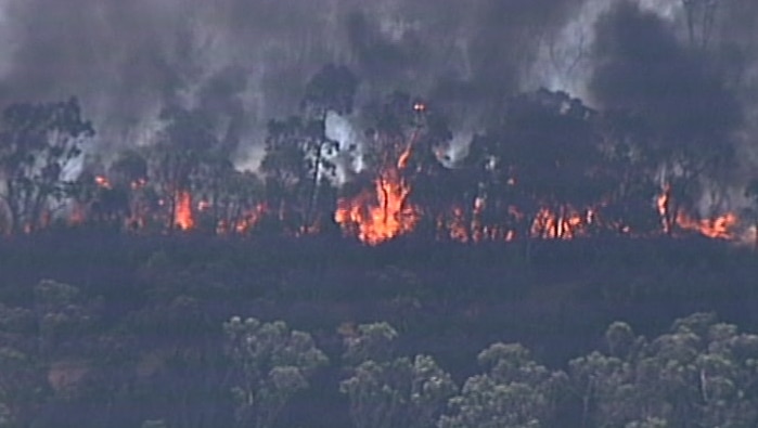 Flames in burning bushland