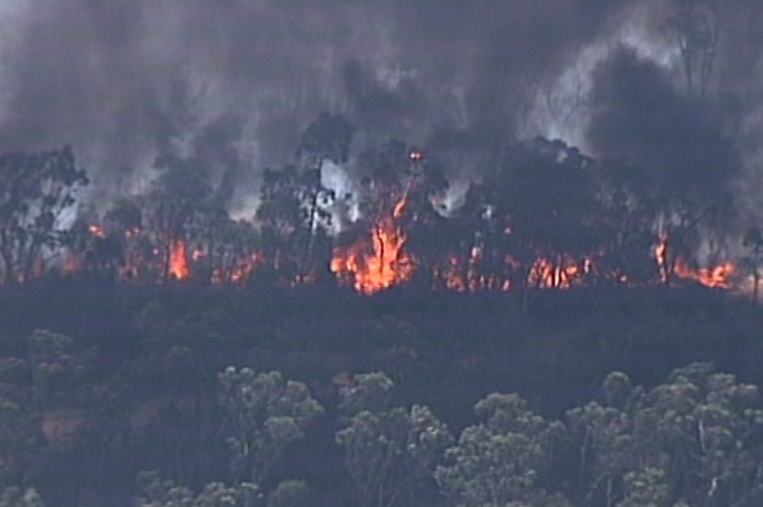 Flames in burning bushland