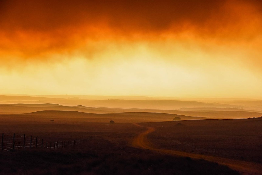 Vast landscape of open plains in shades of orange with a thick carpet of smoke in the sky.