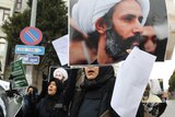 Woman protests Shiite cleric's execution in Ankara