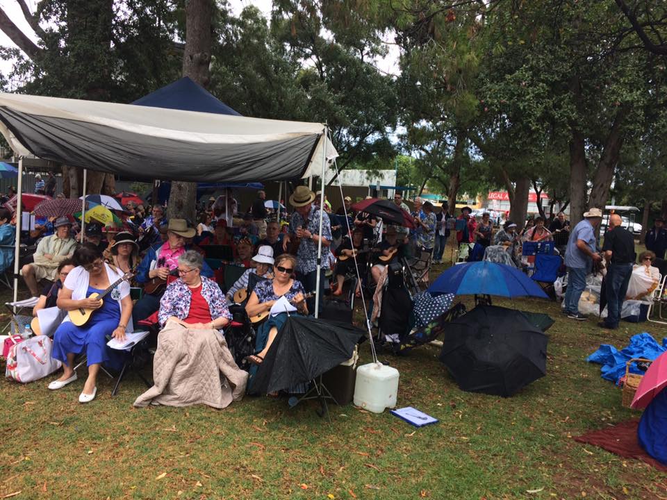 Humble ukulele strings along new generation of players ABC News