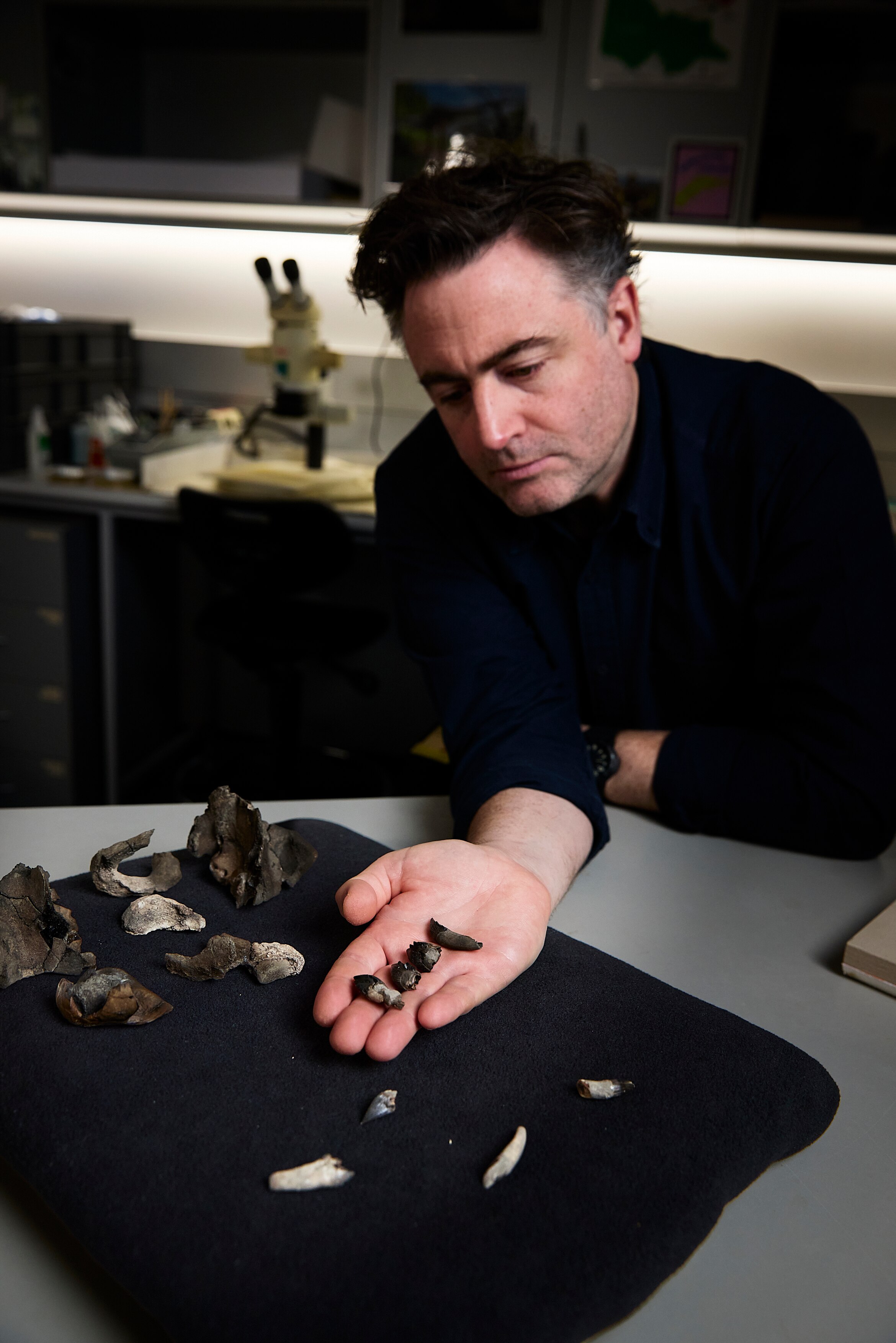 A man with dark hair in a black jacket bends over a table in a lab and looks at bone fragments in his hand.