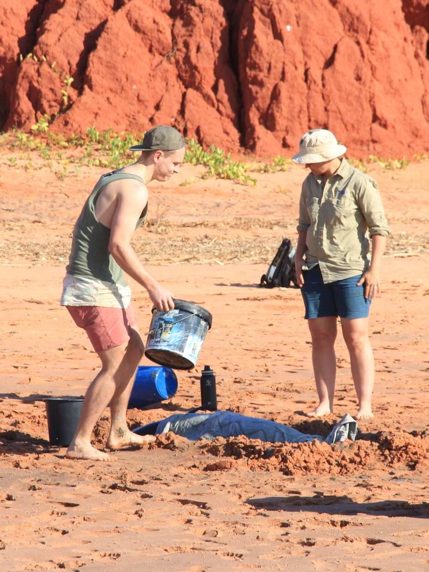 People helping a dolphin stranded on a beach in Broome.
