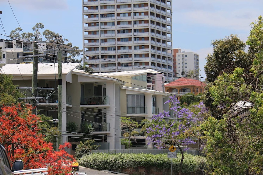High-rise and smaller apartment buildings along a leafy street in Brisbane.