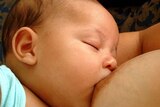 A baby breast feeds