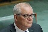 Scott Morrison sitting on the backbench in parliament house 