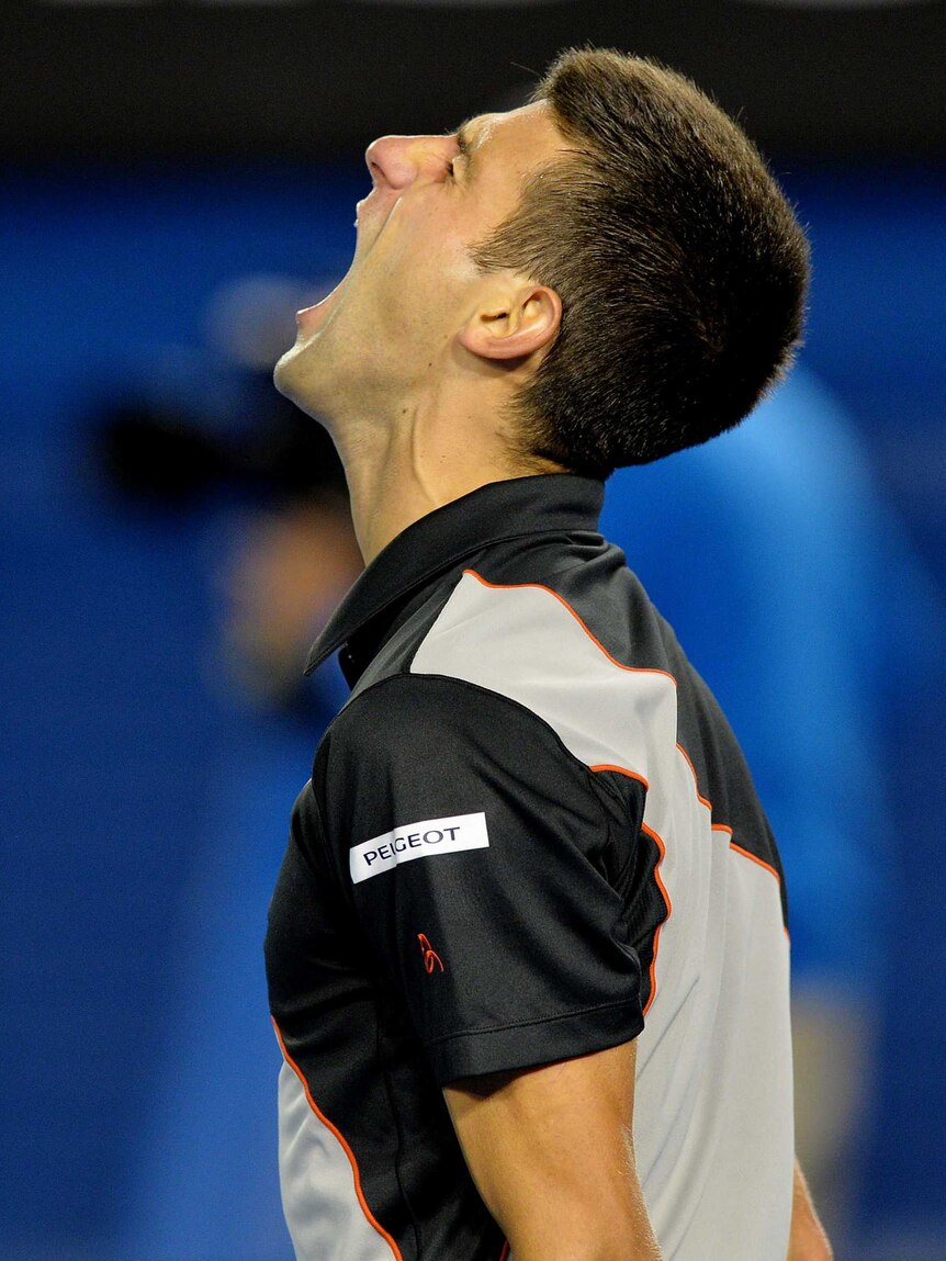 Djokovic screams during his Australian Open quarter-final against Wawrinka