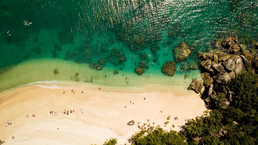 An aerial view of ocean meeting the sandy beach and rocks of Fitzroy Island.