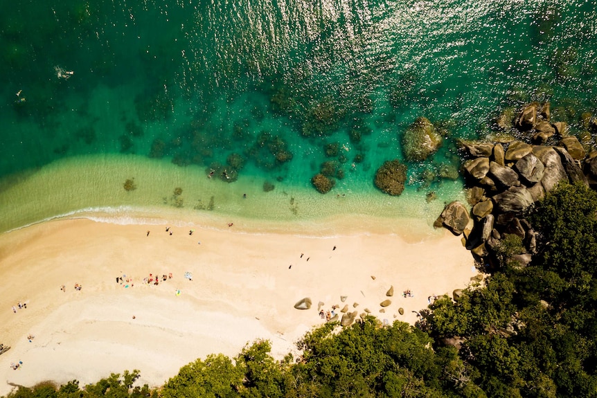 An aerial view of the ocean meets the sandy beach and rocks of Fitzroy Island.