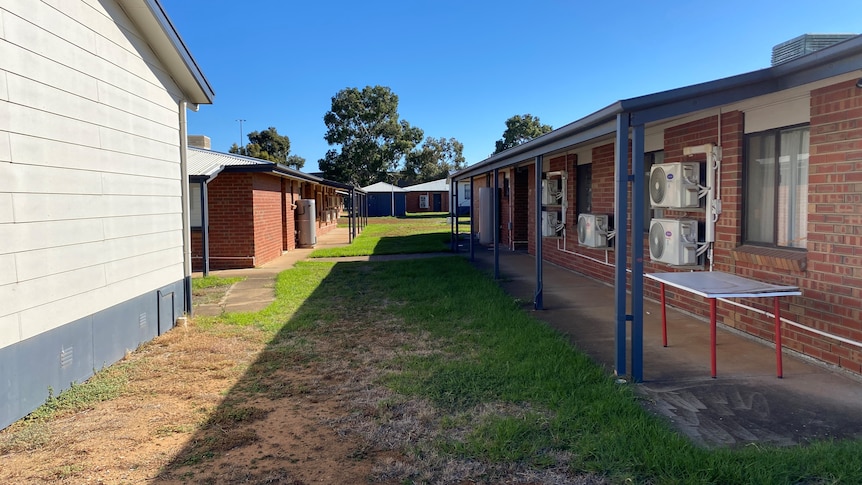 Cabins and grass