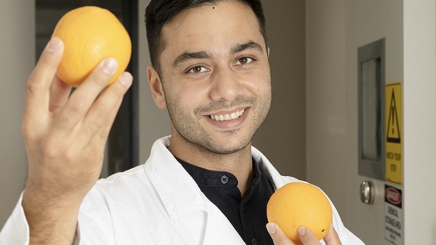 pad mærke navn Neuropati A new technique using rancid oranges could help detect cancer early - ABC  News