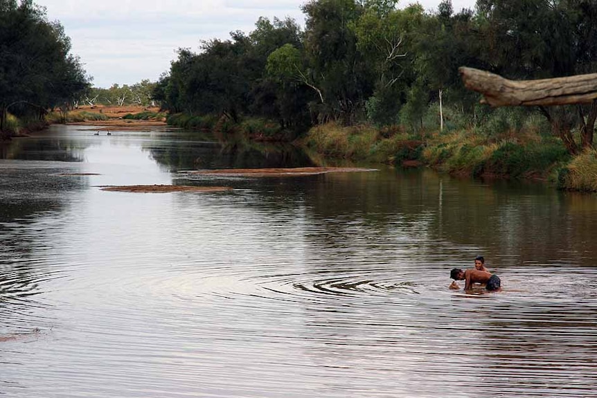 Two Aboriginal children playing in a river with black swans in the background`