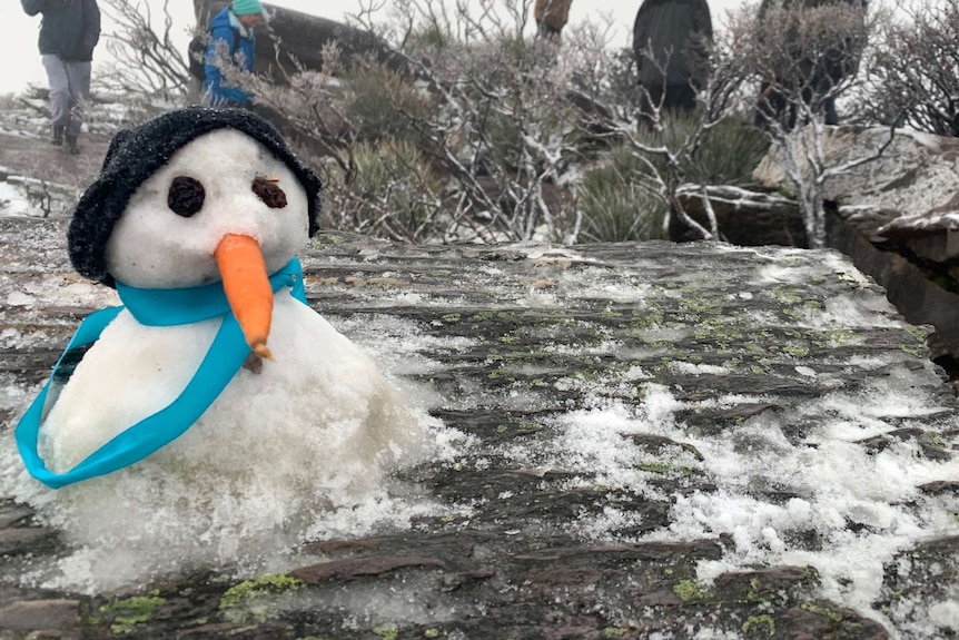 A snowman wears a sling at the top of Bluff Knoll in WA.