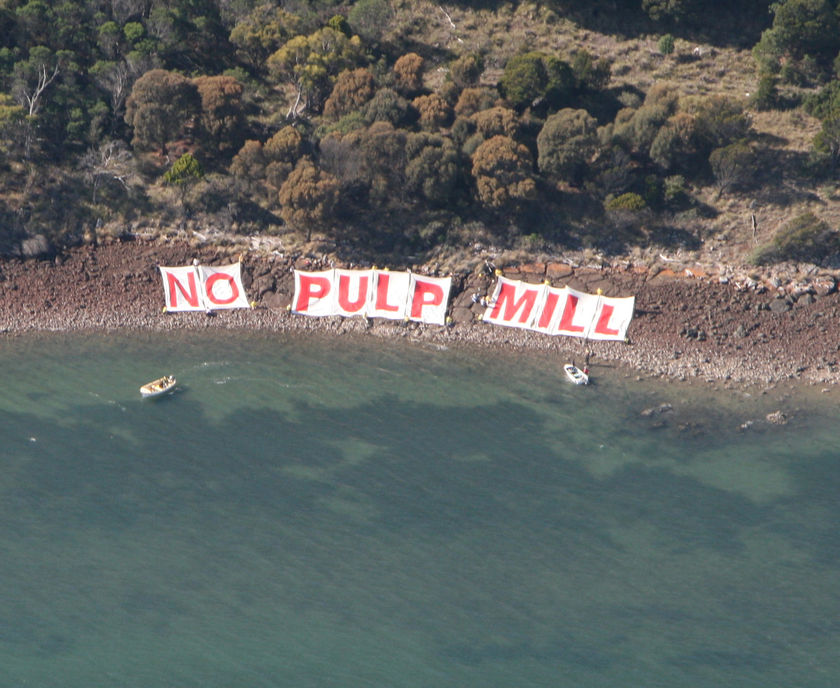No Pulp Mill in red letters on white background along a shoreline.