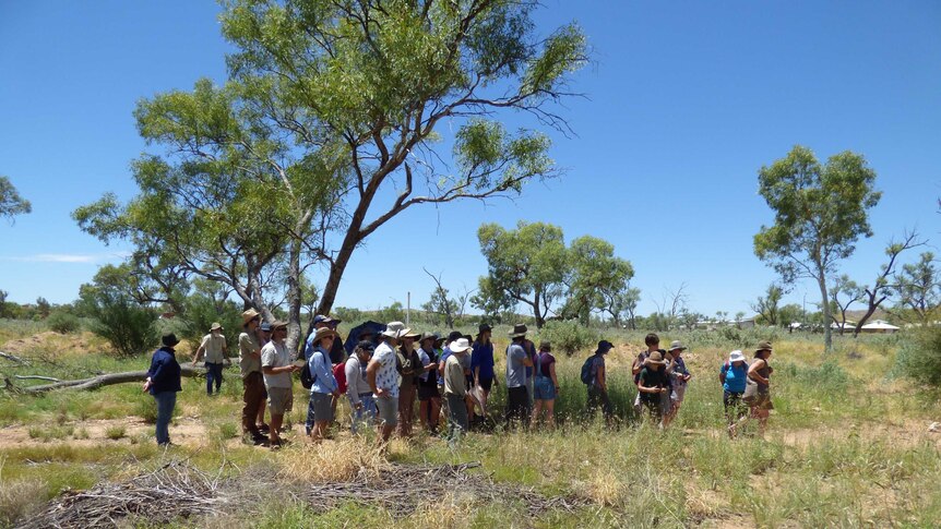 A group of Centralians gathered learning more about buffel grass
