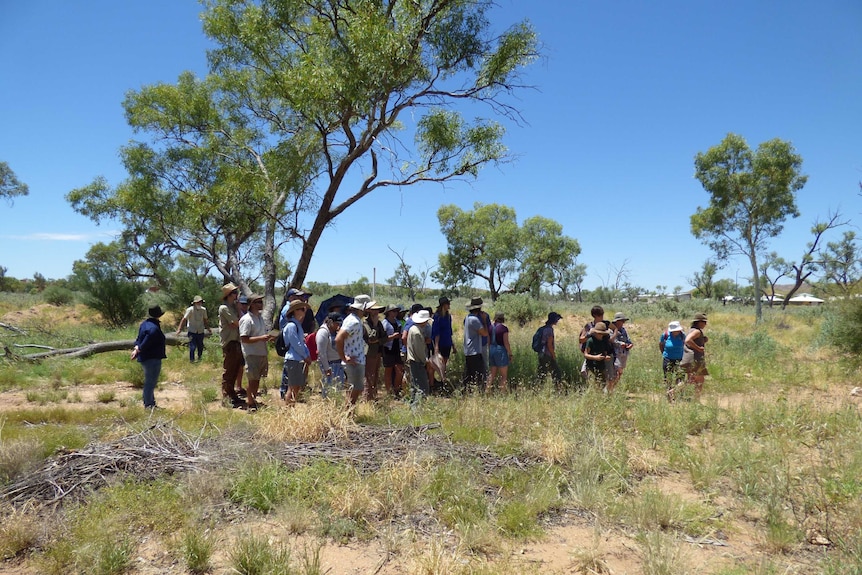 A group of Centralians gathered learning more about buffel grass