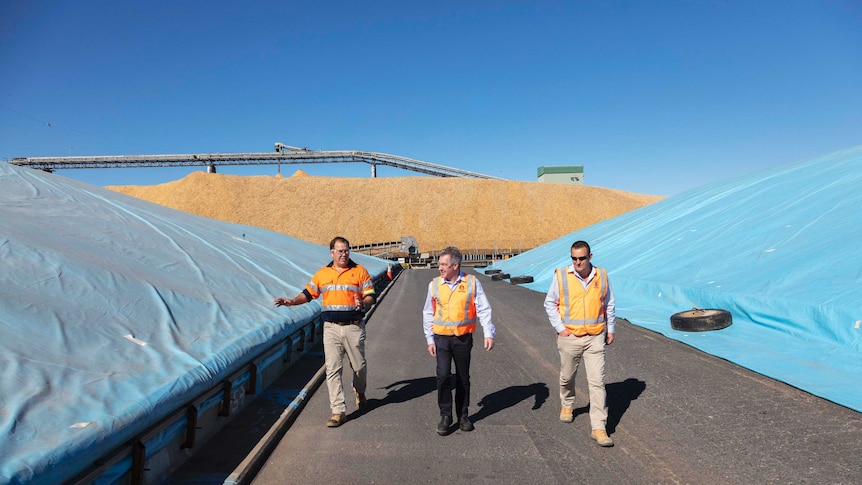 Graincorp staff walk between grain bunkers with woodchip pile in background