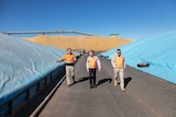 Graincorp staff walk between grain bunkers with woodchip pile in background
