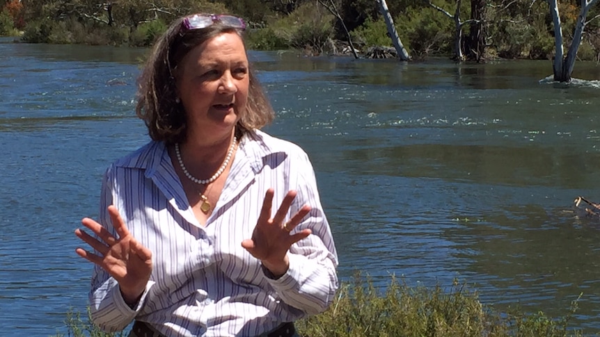 A woman speaking and standing in front of a river.