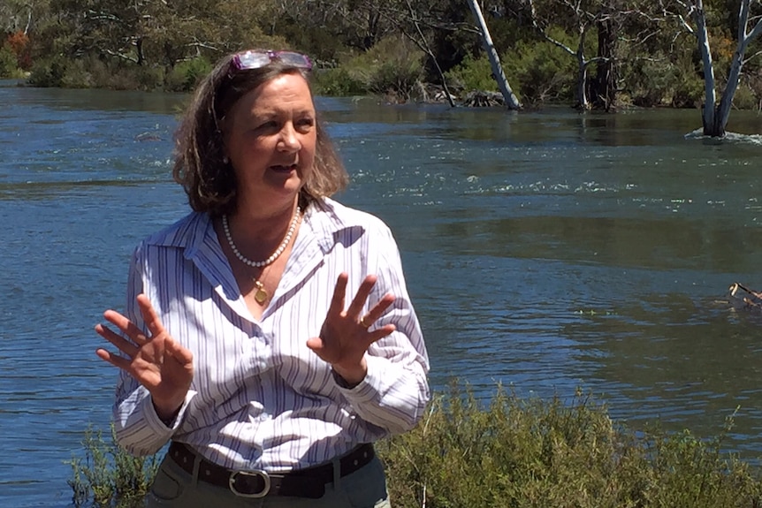 A woman speaking and standing in front of a river.