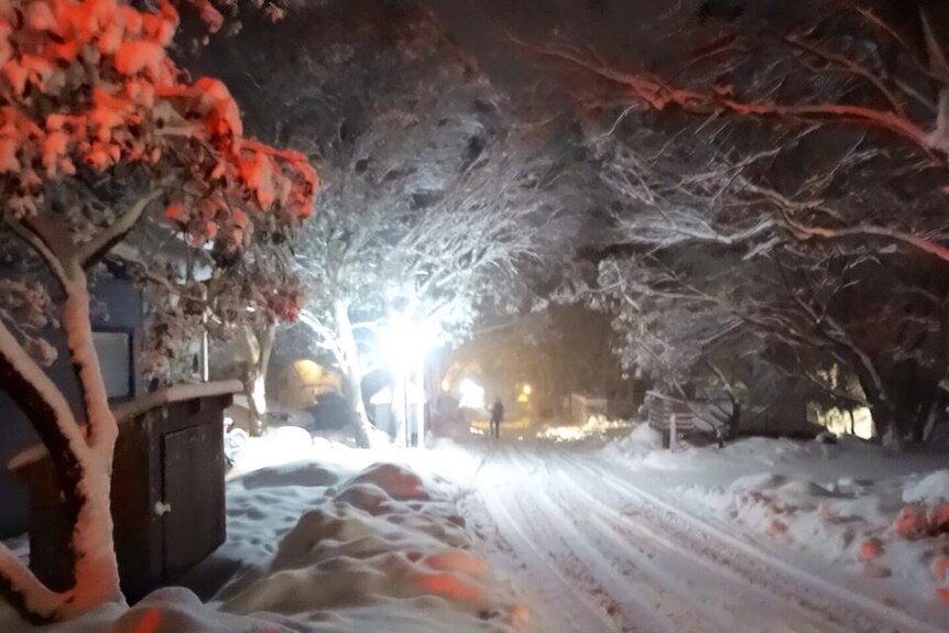 Thredbo saw falls of up to 50cm on 9 July, 2014.