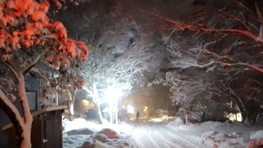 Thredbo saw falls of up to 50cm yesterday.