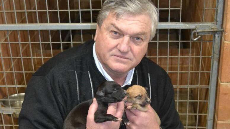 Man holding two greyhound puppies.