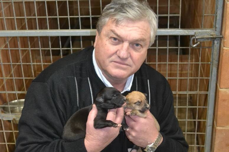 Man holding two greyhound puppies.