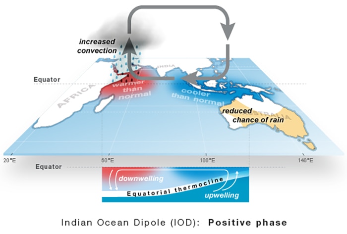 A graphic image showing what happens in the positive phase of the Indian Ocean Dipole.