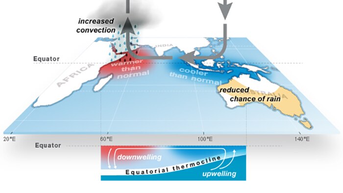 A graphic image showing what happens in the positive phase of the Indian Ocean Dipole.