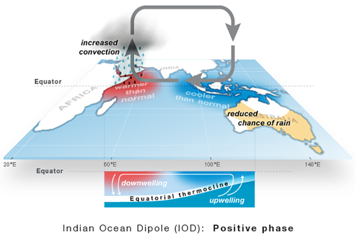 A graphic image showing what happens in the positive phase of the Indian Ocean Dipole.