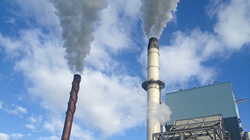 Cane mill at Broadwater pumping out steam.