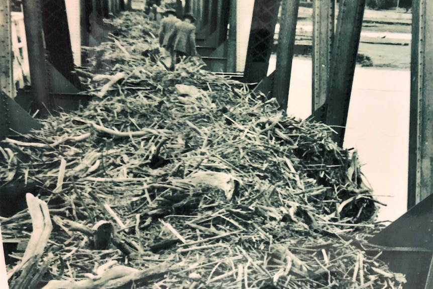 Flood debris, 1949