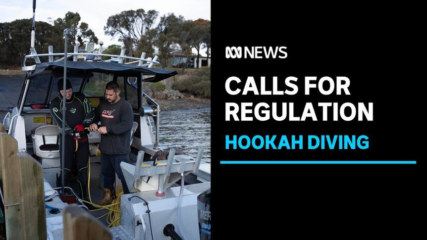 Calls For Regulation, Hookah Diving: Boat moored at jetty with divers in wetsuits inspecting hookah hoses. 