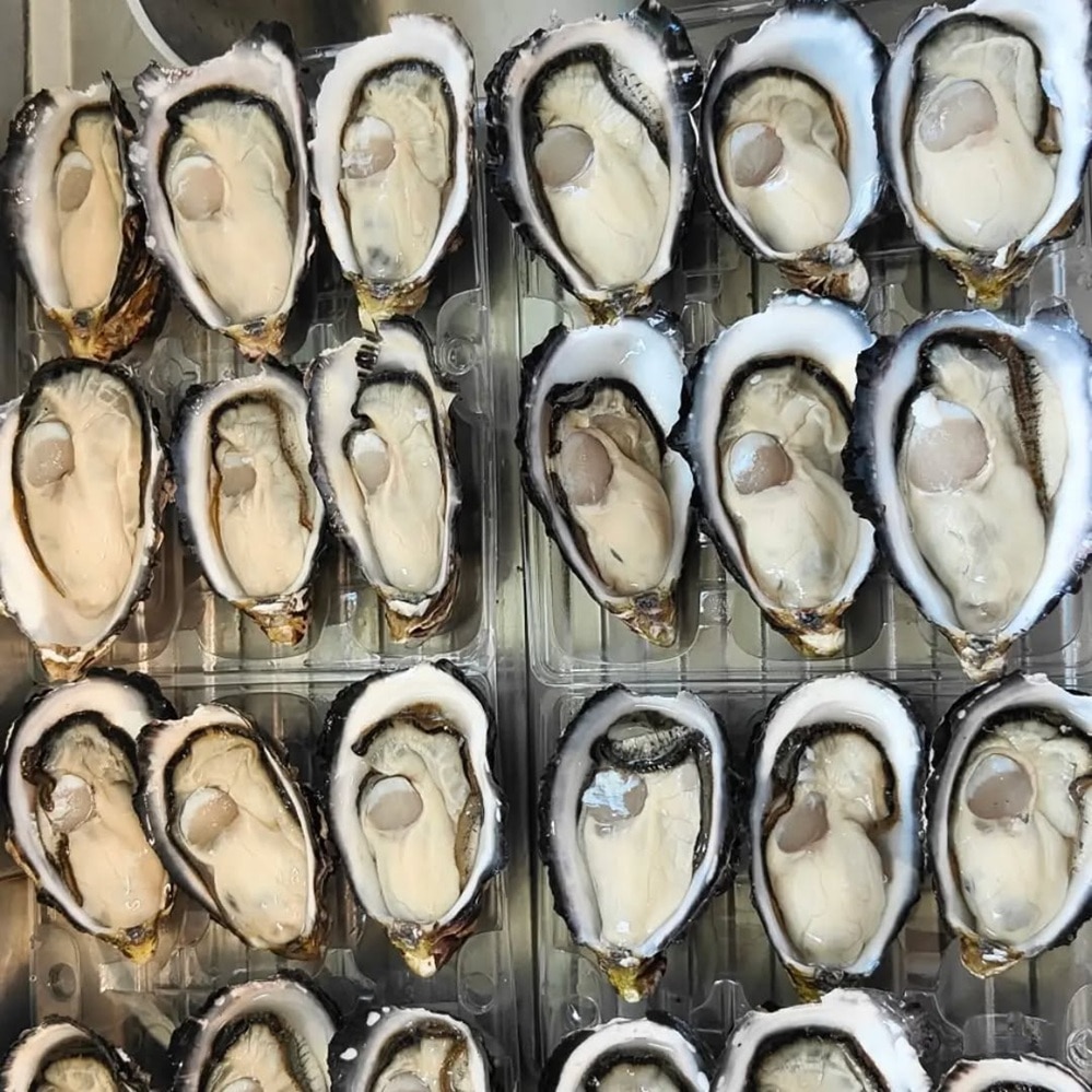 Winter is kind to Oysters on the East Coast of Tasmania