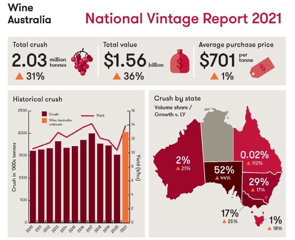 Graphics explain the record breaking grape crops in 2021