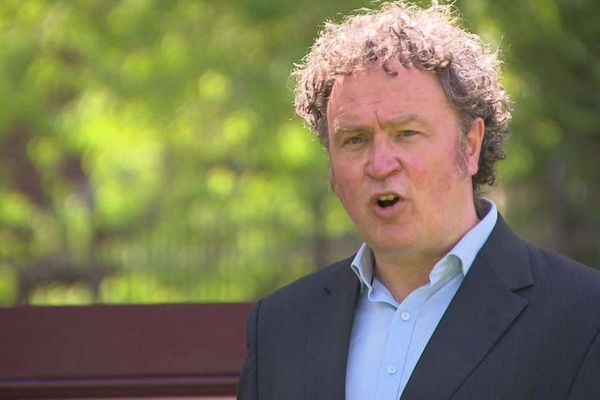 A man with fair, curly hair, wearing a blazer in a leafy park.